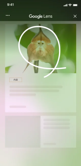 ユニークな花の画像が掲載されたインテリアのサイトで、iPhone ユーザーがページツールを開き、[画面を検索] を選択している